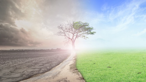 An photo illustration of dry desolate ground becoming green and dead tree growing leaves.