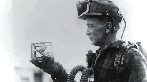 A miner holding a cage with a canary.