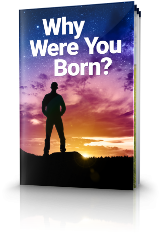 Booklet cover: Why Were You Born?