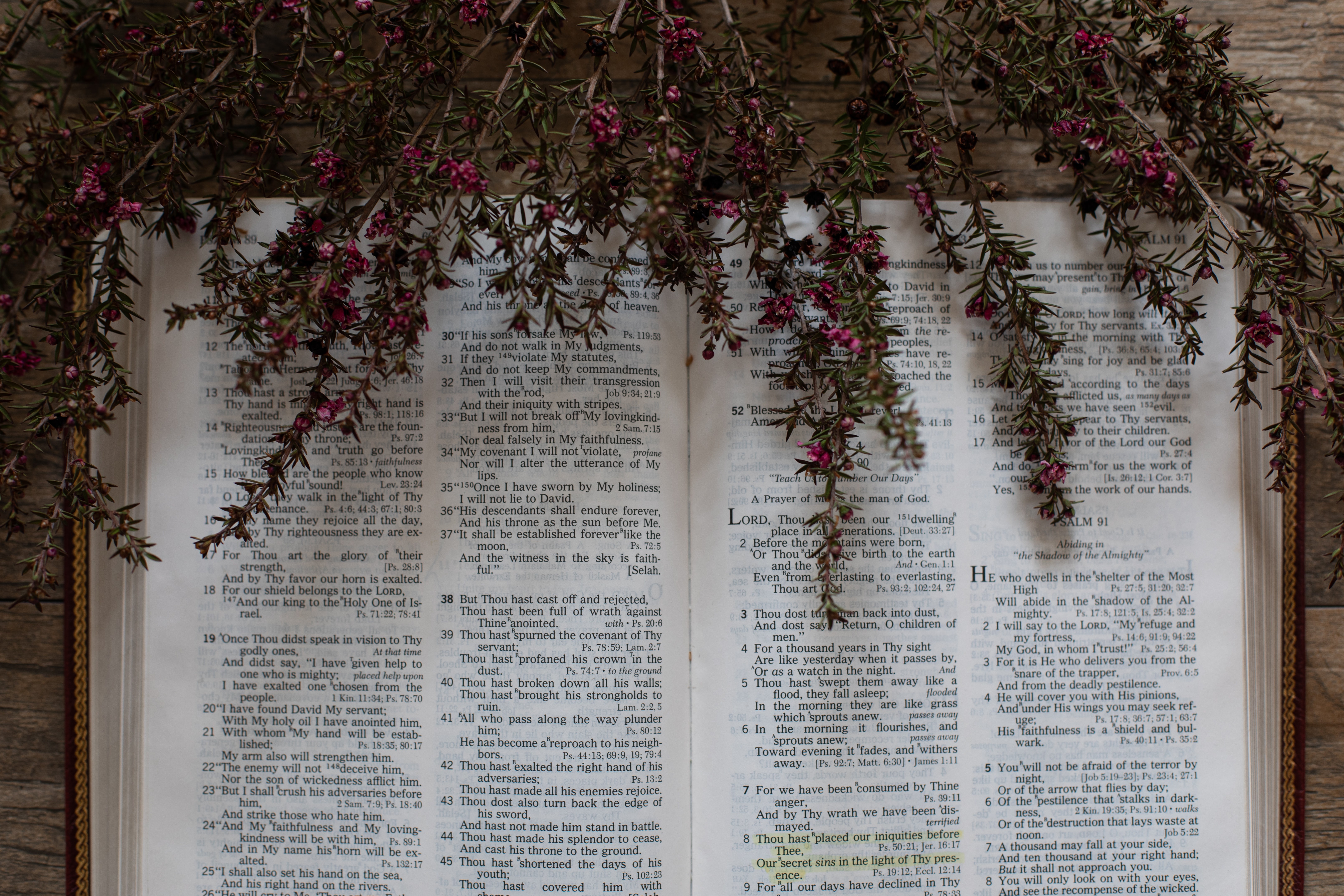 Photo of an open Bible with dried flowers laid on top.